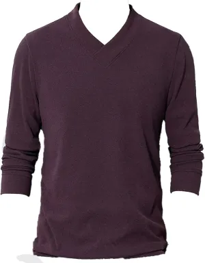 Men's Lightweight Merino Wool V-Neck Sweater Slim Fit Long Sleeve Pullover Classic Cashmere Trim Fine Knit (Purple,Medium)